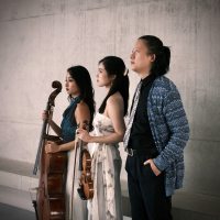 The Art of Pianotrio - "Feinste Kammermusik"